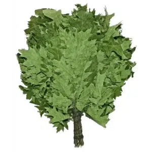 TESLI CANADIAN OAK Sauna Venik